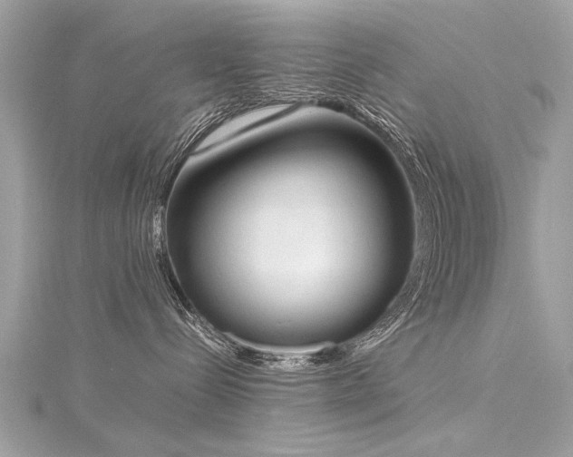 X0000116020288200911201240