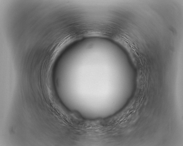 X0000116020289200911201240