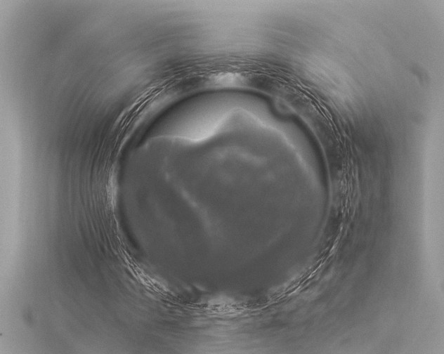 X0000116020290200911201240