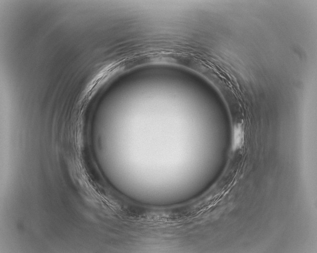 X0000116020291200911201240