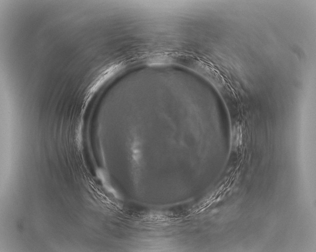 X0000116020292200911201240