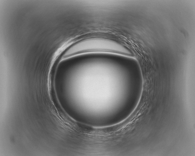 X0000116020294200911201240