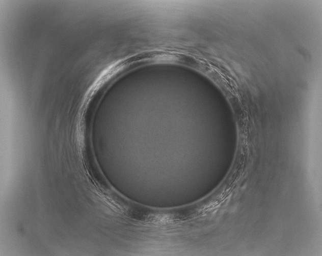 X0000116020295200911201240