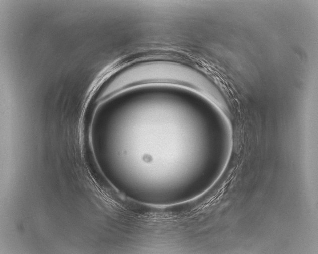 X0000116020296200911201240