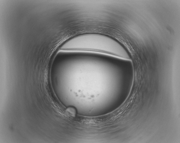 X0000116020297200911201240