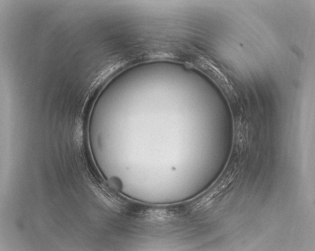 X0000116020298200911201240