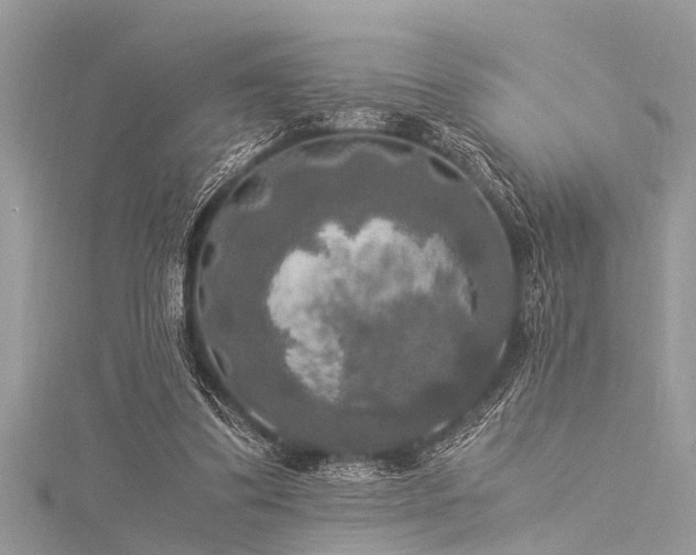 X0000116020299200911201240