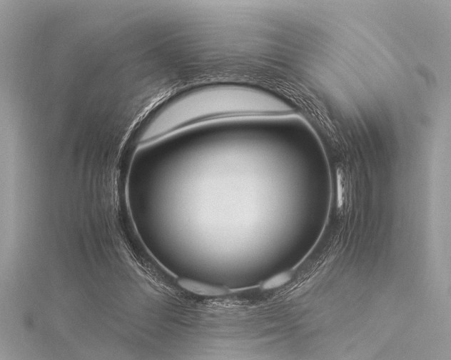 X0000116020300200911201240