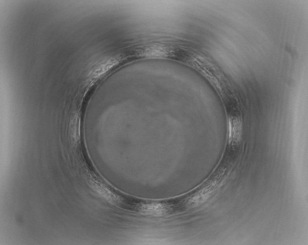 X0000116020301200911201240