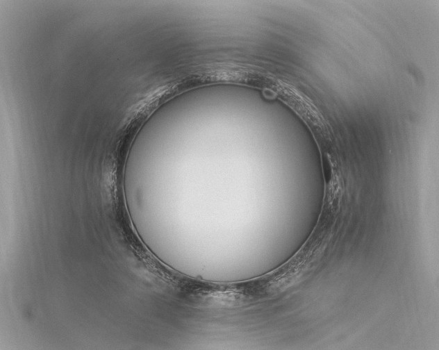 X0000116020306200911201240