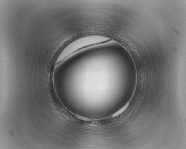 X0000116020308200911201240