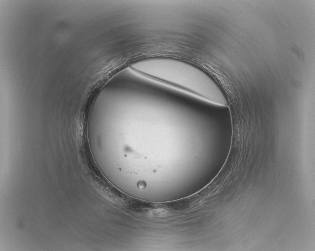 X0000116020309200911201240