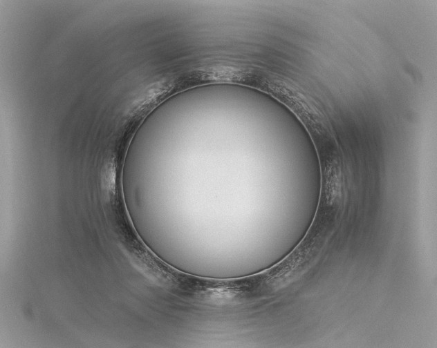 X0000116020310200911201240