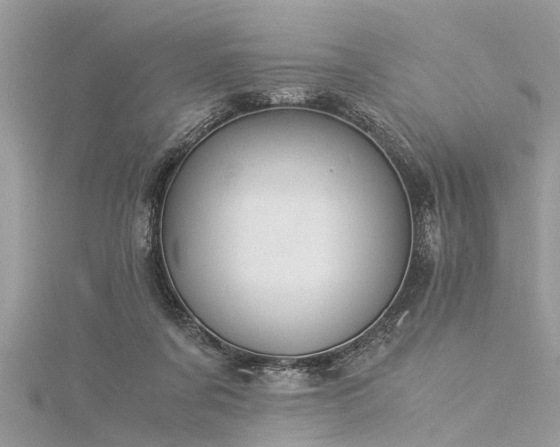 X0000116020311200911201240