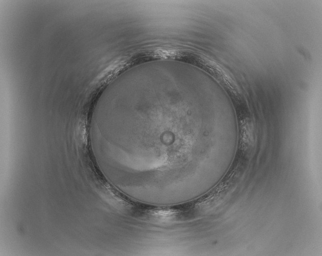 X0000116020313200911201240