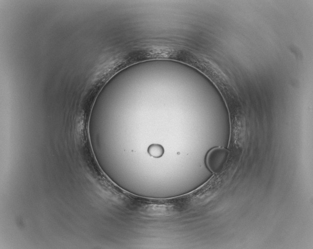 X0000116020314200911201240