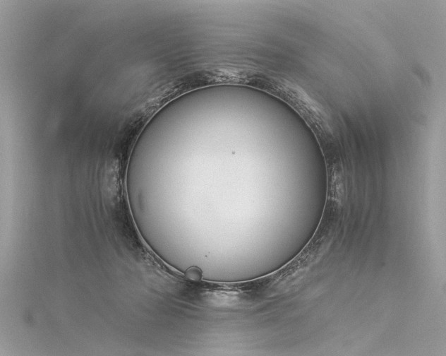 X0000116020318200911201239