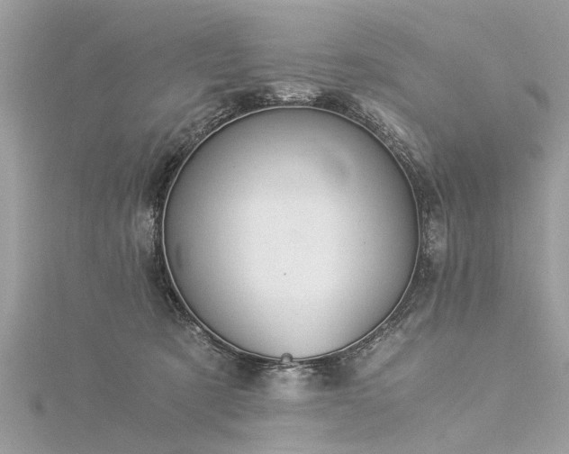 X0000116020321200911201239