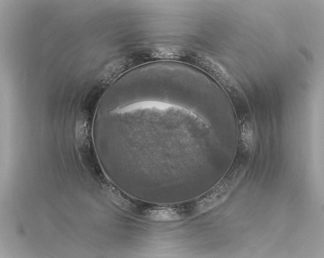 X0000116020322200911201239