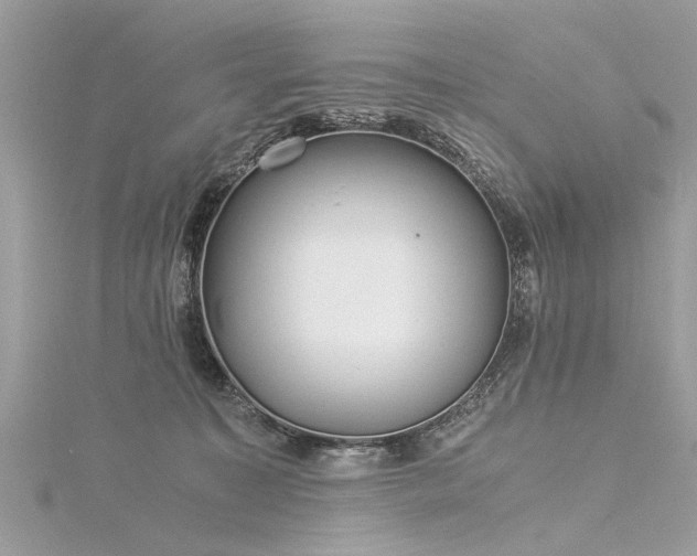 X0000116020323200911201239