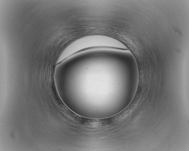 X0000116020325200911201239