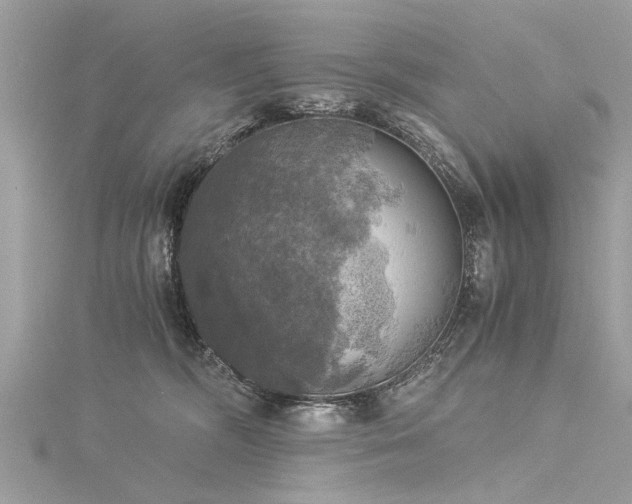 X0000116020326200911201239