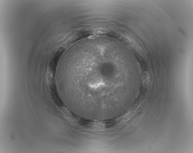 X0000116020327200911201239