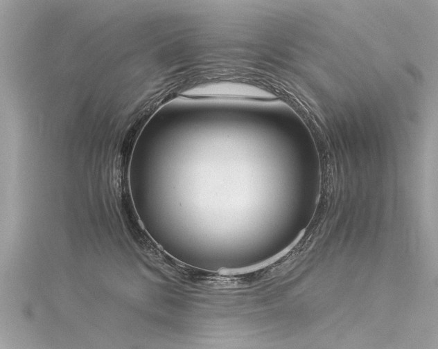 X0000116020328200911201239