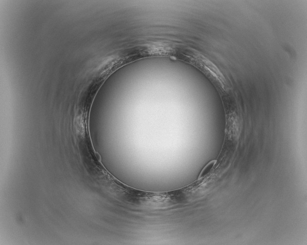 X0000116020329200911201239