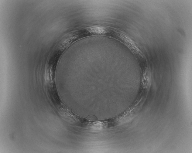 X0000116020330200911201239