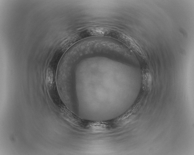 X0000116020331200911201239