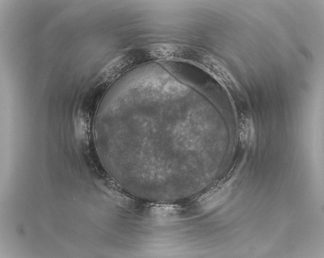 X0000116020332200911201239