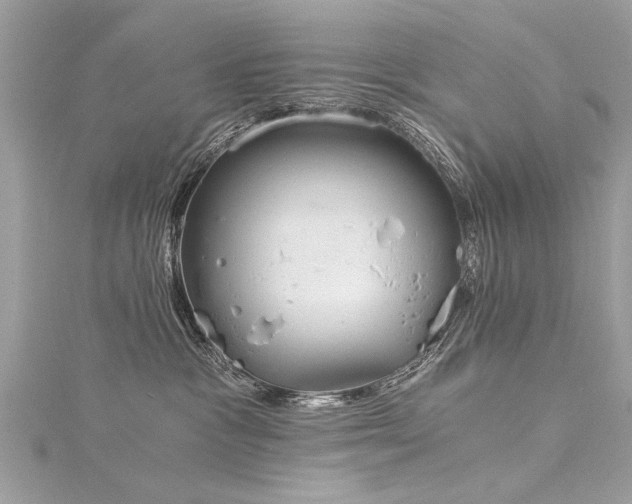 X0000116020333200911201239