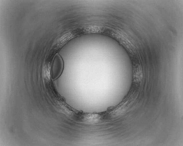 X0000116020334200911201239