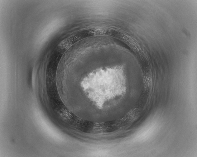 X0000116020335200911201239