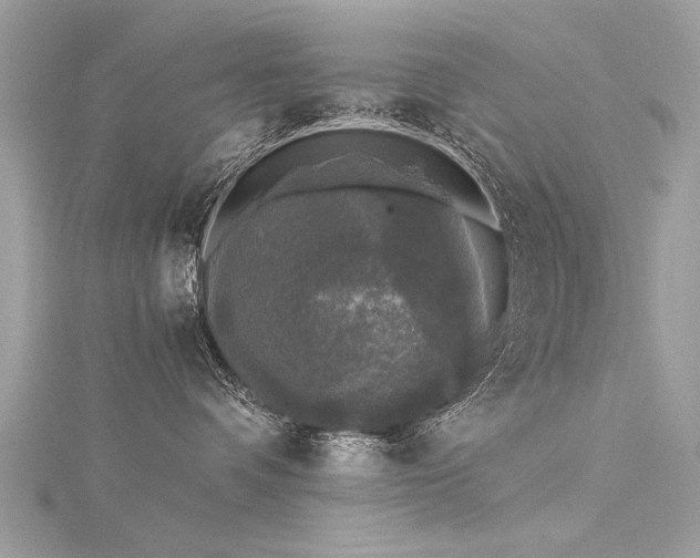 X0000116020336200911201239