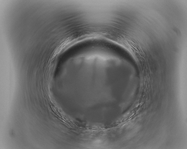 X0000116020337200911201239