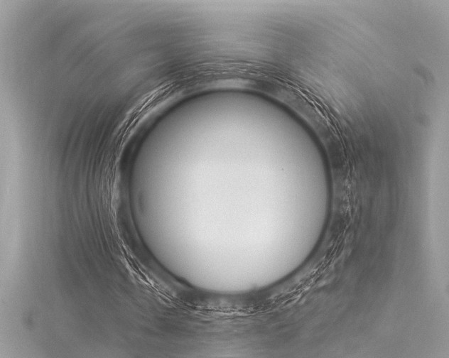 X0000116020338200911201239