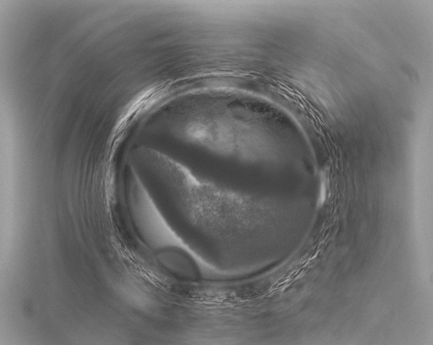 X0000116020339200911201239