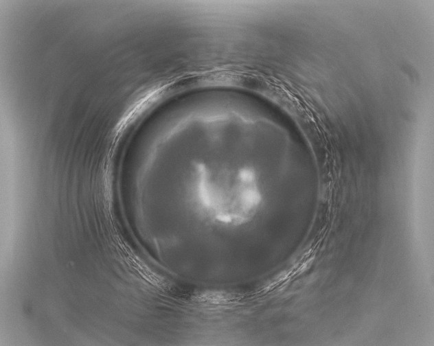 X0000116020341200911201239