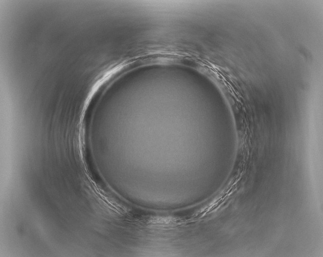 X0000116020342200911201239