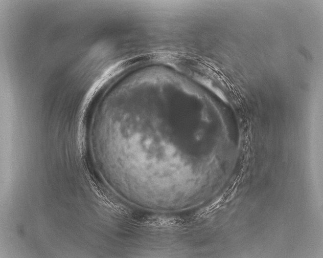 X0000116020343200911201239