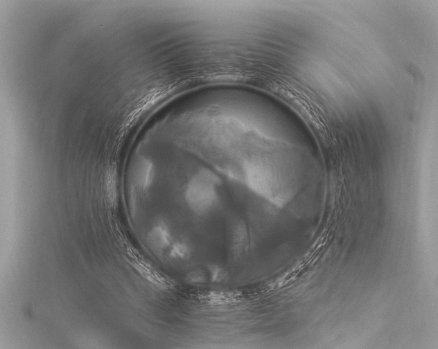 X0000116020345200911201239