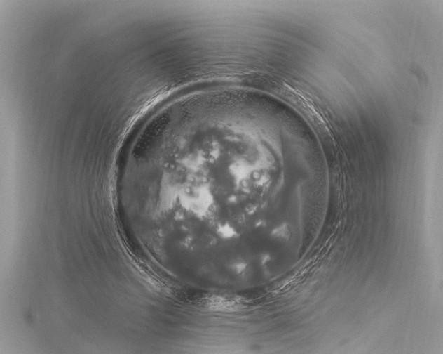 X0000116020346200911201239