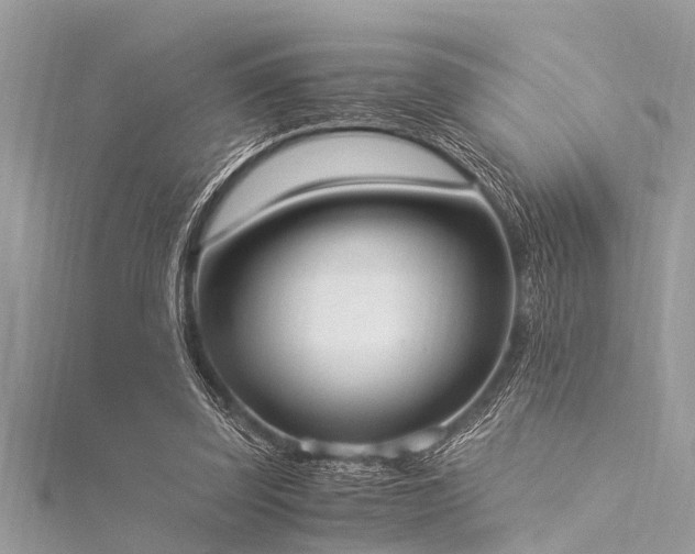 X0000116020347200911201239