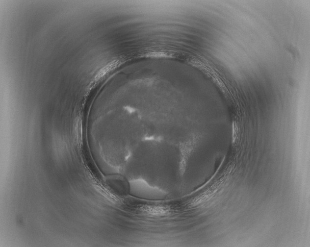 X0000116020349200911201239