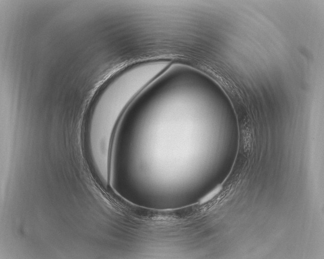 X0000116020350200911201239