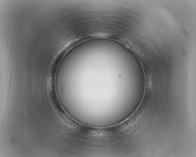 X0000116020351200911201239