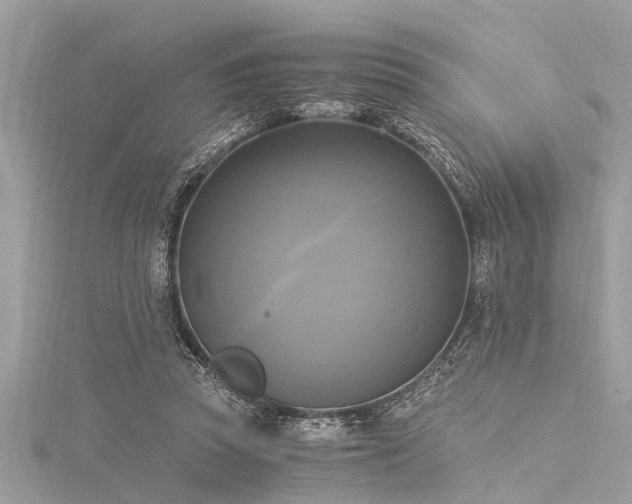 X0000116020353200911201239