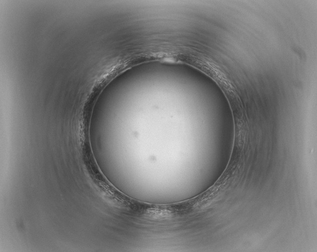 X0000116020354200911201239